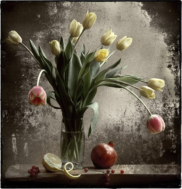 marie france rouze